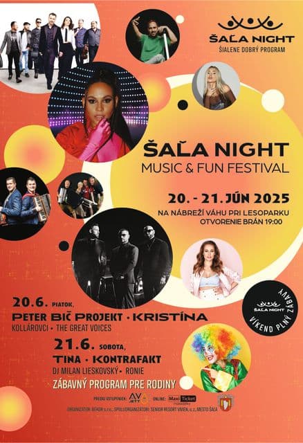 Šaľa night